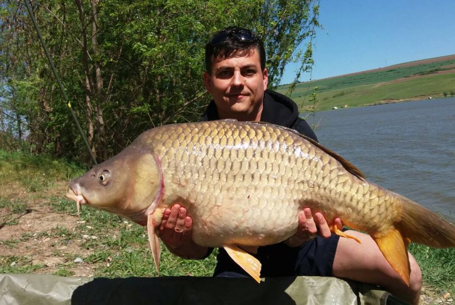 oaserele alexandru